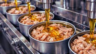 Você não imagina como o ATUM ENLATADO é feito! O processo vai ter surpreender