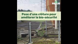 Pose d’une clôture pour améliorer la biosécurité