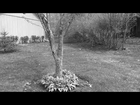 Long Take and Movement