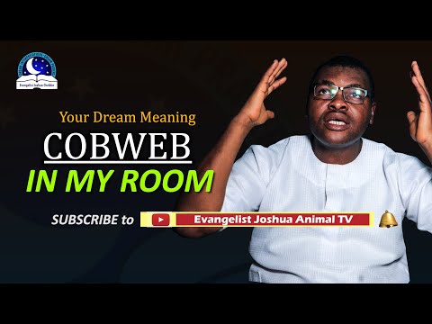 Seeing Cobweb In My House - Your Dream Meaning By Evangelist Joshua