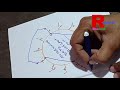 3 Phase Induction Motor Winding Connection With Diagram By Raj Records