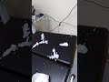 Барааны видео