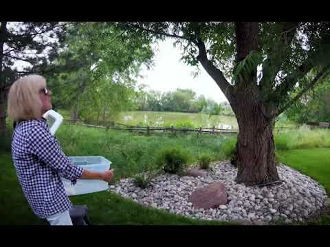 Greenwood Wildlife Rehabilitation Center