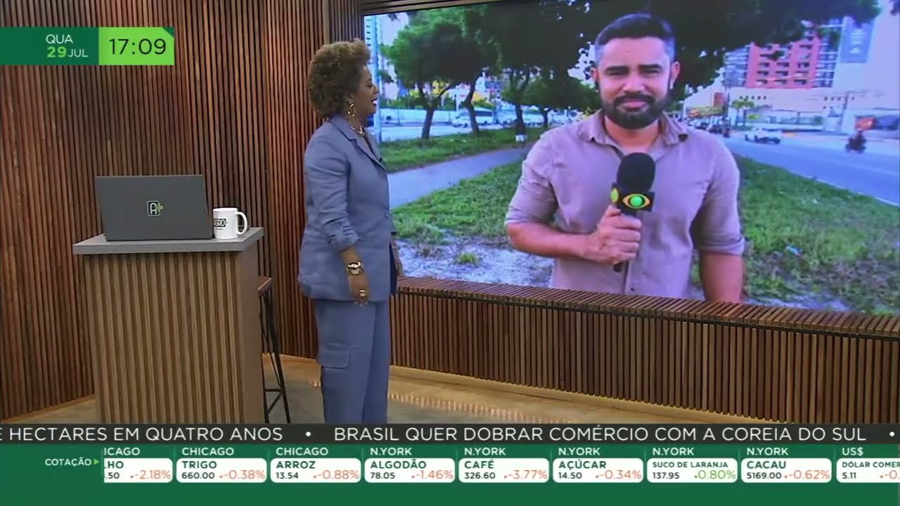 Mini melancia e sem semente ganha espaço no mercado brasileiro