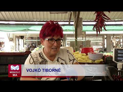 Videó előnézet