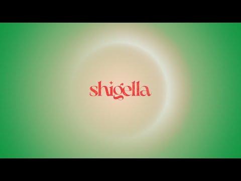 Invernadero — Shigella