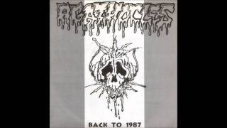 Agathocles - Teachers