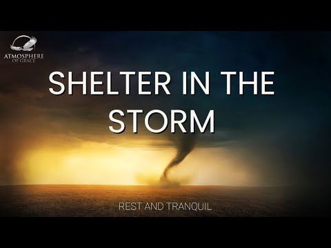 Witness21  2023 02 16