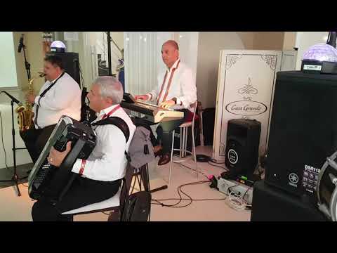 Florin Tanase Band- 0754860616-Ambiental