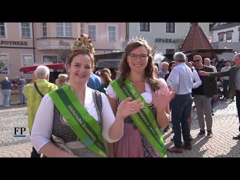 Buntes Treiben: 24. Erntedankfest und 28. Pferdetag in Zwönitz