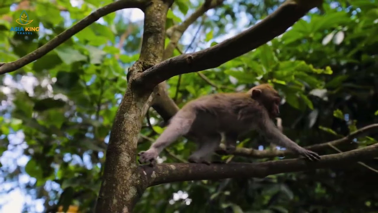 Ubud Bali – Nature, Culture & Adventure in Indonesia