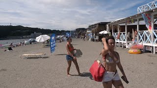 BEST DAY in Beach | Zushi, Kanagawa - Japan | 4K 2023 Beach Walk