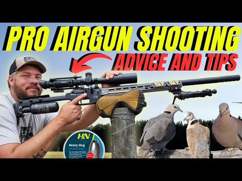PRO AIR RIFLE SHOOTING I ADVICE AND TIPS FROM PRO SHOOTER I AIR RIFLE PEST CONTROL