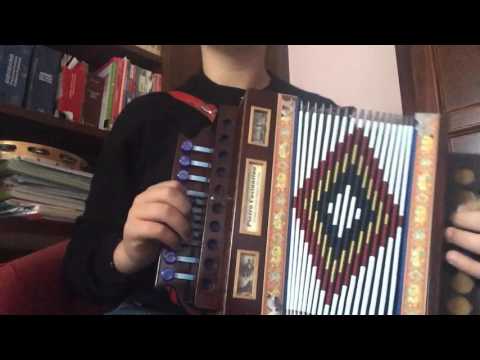 Lezione di organetto 2