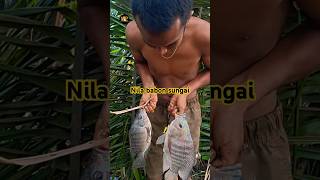 Download lagu Mancing nila sungai batang masang #mancing #fishing #mancingnilasungai #mancingdisungai#mancingmania mp3