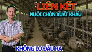 Northern Region Link Mink Farming Export Is Fully Supported And Output Is Guaranteed