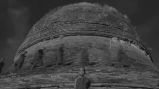 Anemone Tube - Sea Of Lights (Golden Temple)