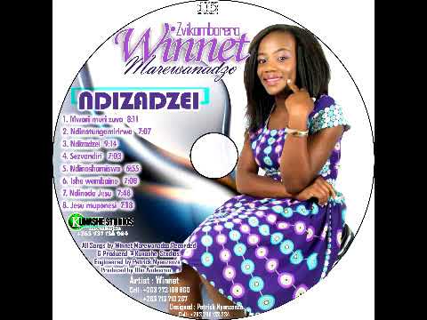 WINNET MAREWANADZO - NDIZADZEI