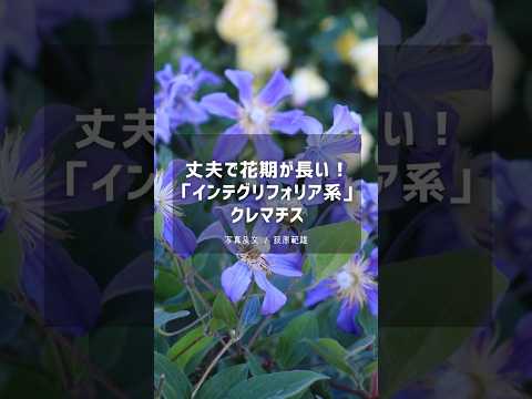 寒さ、暑さ、干ばつ、風など、あらゆるものに耐える植物を発見してください。  庭園
