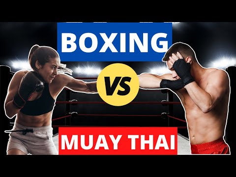 Should I Train Boxing or Muay Thai | Kickboxing and Muay Thai and Boxing