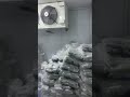 8Ton Capacity Walk-in storage freezer Cold Room...