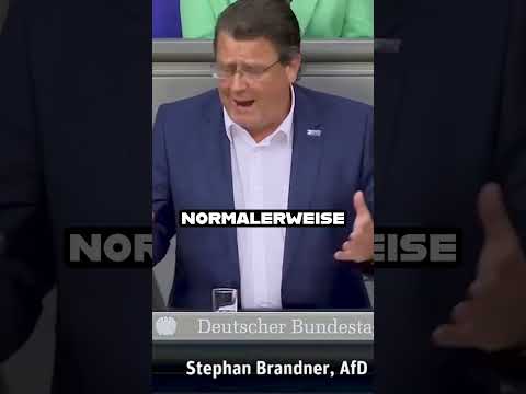 AfD-Enthüllung: Mister Cash Money und das Behördenversagen 💰 #afd #bundestag #steuern