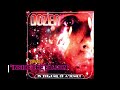 DOZER "INSIDE THE FALCON" (IN THE TAIL OF A COMET) 2000