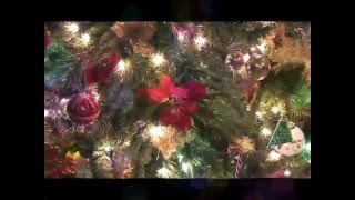 O Christmas Tree (Instrumental)