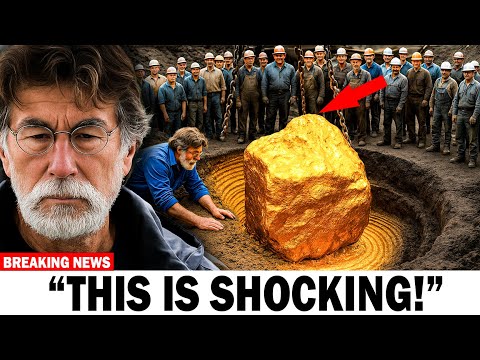 Beneath Oak Island’s North Swamp: A Stunning Find Changes All!