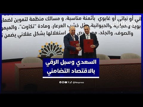 السعدي الرعاية الملكية للمناظرة الوطنية للاقتصاد الاجتماعي والتضامني تحفز على الرقي بالقطاع