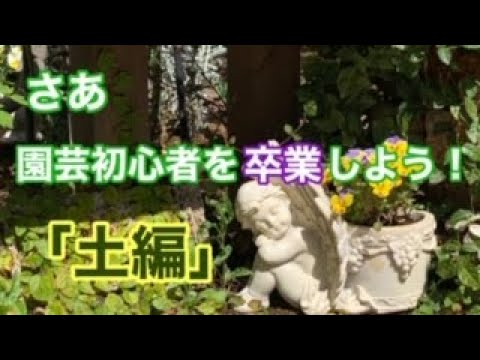 園芸 植物はどのような構造になっているのでしょうか?