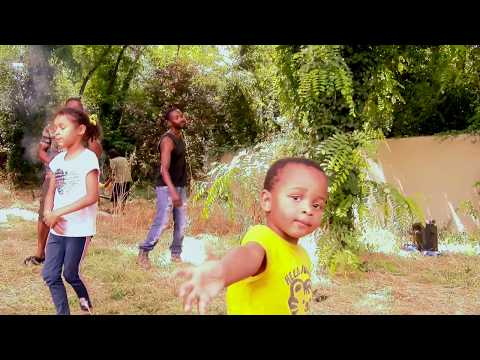 SERVO  (coupé décalé)DMG vidéo