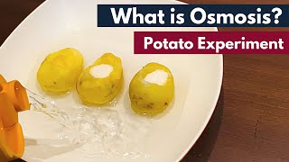 Osmosis: What is Osmosis? | Definition | Osmosis using Potato | Biology