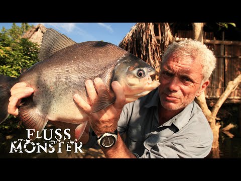 Der rote Pacu: Seltsame Todesfälle im Fluss | S3 E02 | Fluss Monster