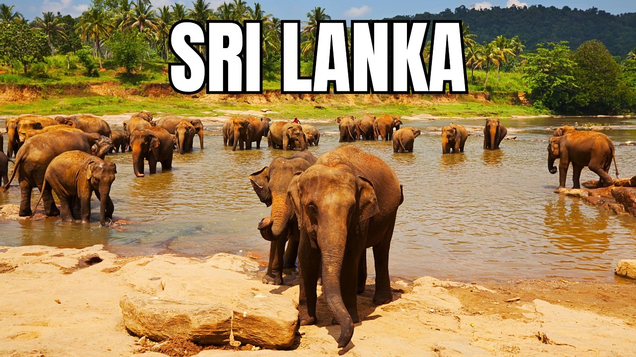 SRI LANKA | Wildlife in the Heart of the Indian Ocean - Documentary