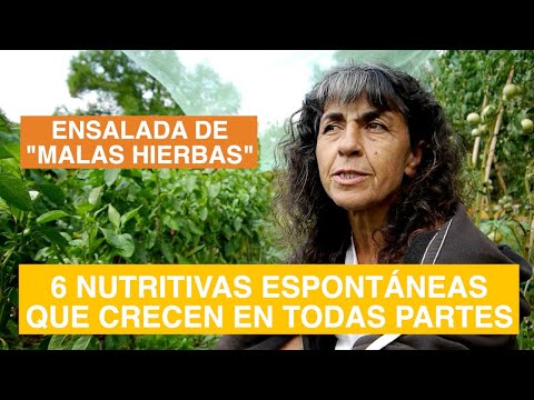 Descubre las ‘Malas Hierbas’ Comestibles con Nuria: Del Huerto Ecológico a una Ensalada Saludable