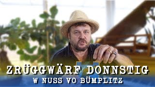 PATENT OCHSNER – #zrüggwärfdonnstig : W Nuss vo Bümplitz