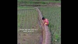 Download lagu Status WA Kata bijak Sunda mp3 Download lagu Status WA Kata bijak Sunda mp3