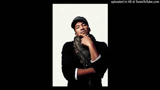 Q-Tip ~ "Do You Dig U?" (2009)