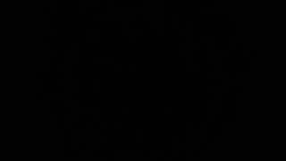 THE GO-GO'S REHEARSAL 1979: FADING FAST