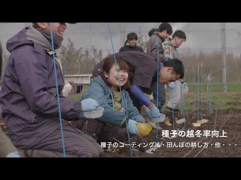 農学部　食料農学科 農学コース　研究室紹介動画（下野教授・松波准教授研究室）専門分野：作物学