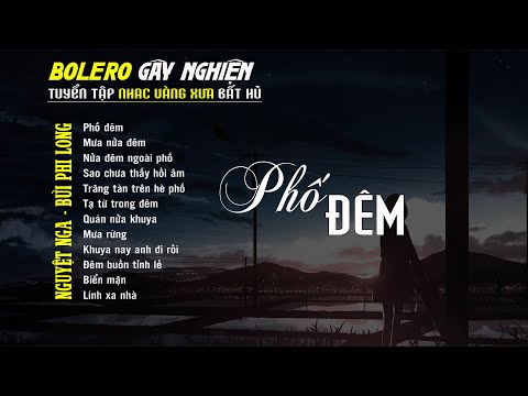 Bolero Gây Nghiện l Quán Cafe Thư Giãn ❖ PHỐ ĐÊM ❖ Nguyệt Nga, Bùi Phi Long