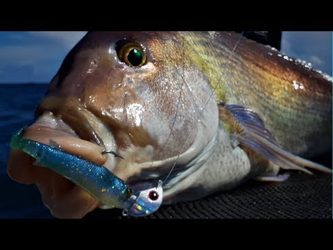 How to softbait from a kayak Catch Fishing Tackle