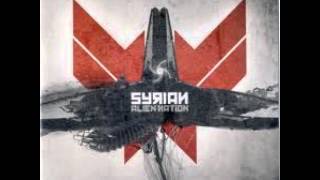 Syrian - Destiny Sunrise