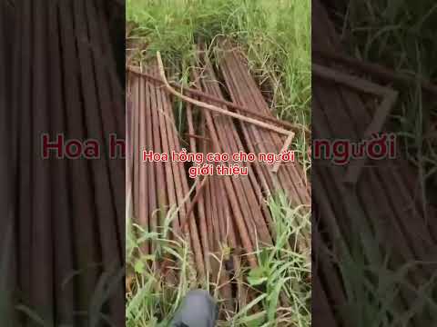 Thu mua phế liệu giá cao toàn quốc - Phế Liệu Tuấn Phương