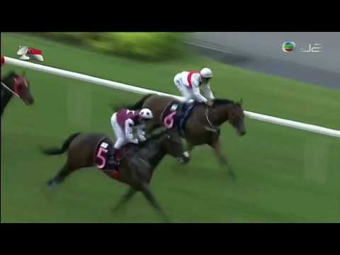 2018 (667) - Hyde Park (海德公園) - K.Teetan