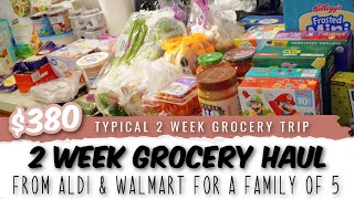 Family of 5 Grocery Haul with Aldi + Walmart Pick Up