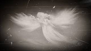 Insania   Angels In The Sky
