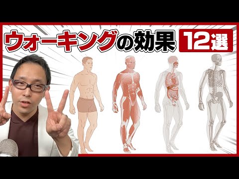 最新研究が示す、健康寿命を延ばすために肩を早く治すべき理由と方法｜歌島大輔🎈@整形外科医・ヘルスコーチ