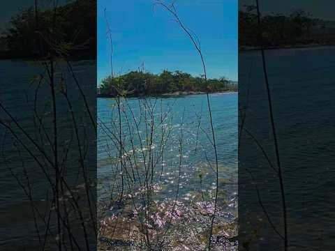 lago Corumbá 3, lugar maravilhoso aqui no Estado de Goiás. Pecaria de Tucunaré.